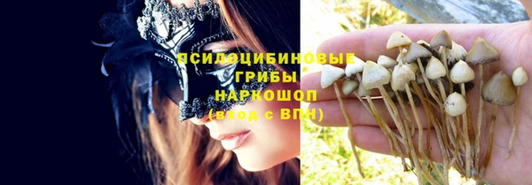 PSILOCYBIN Ладушкин