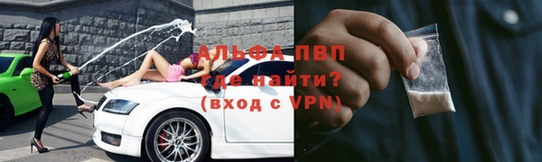 гашик Лабытнанги
