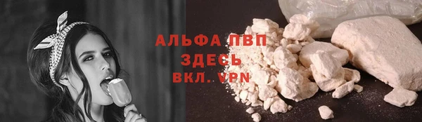 гашик Лабытнанги