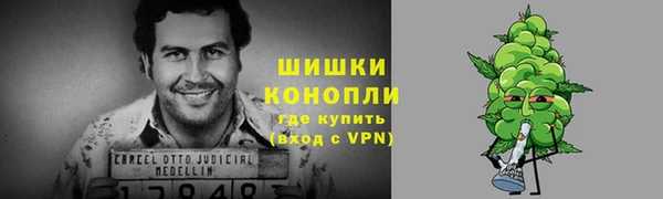 гашик Лабытнанги