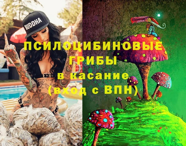 PSILOCYBIN Ладушкин