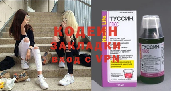 индика Лагань