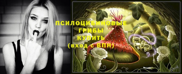 гашик Краснотурьинск