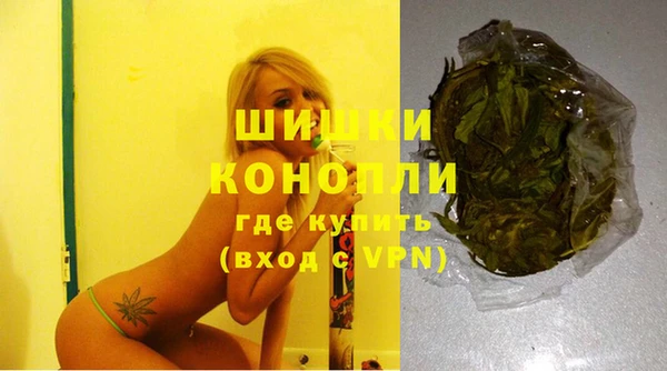 гашик Лабытнанги
