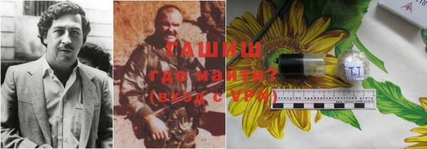 индика Лагань