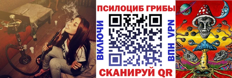 Галлюциногенные грибы Psilocybine cubensis  Купить закладки  Закаменск 