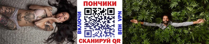 Марихуана SATIVA & INDICA  Купить где  Закаменск 
